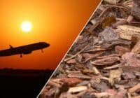 Split image: airplane taking off at sunset on the left, and a bed of brown wood mulch on the right.