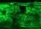 Fluorescent green micrograph of tissue showing two parallel bands of densely stained cells in bright green.