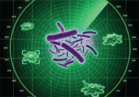 Das pflanzenpathogene Bakterium Pseudomonas syringae (Mitte) nutzt ein chemisches Radar, um Amöben als Fressfeinde zu erkennen und mithilfe des Naturstoffs Pyrofactin gezielt zu eliminieren. | Quelle: Luo Yu | Copyright: Leibniz-HKI