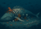 Illustration of a large whale-like creature on the ocean floor with an orange octopus on its back and small orange crabs nearby.