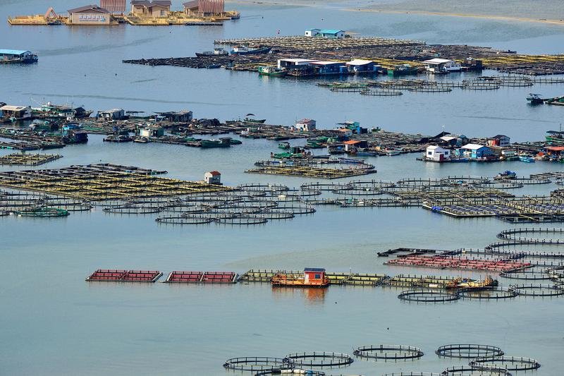 Stickstoffeinträge aus der Landwirtschaft oder Aquakulturanlagen – wie in der Xincun-Lagune im Südosten der Insel Hainan – sowie zunehmende Urbanisierung und Küstenbebauung beschleunigen die Riffdegradierung in der Region | Quelle: Tim Jennerjahn | Copyright: Tim Jennerjahn, Leibniz-Zentrum für Marine Tropenforschung (ZMT)