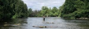 Person wading in a calm river with dense green trees along both banks