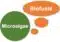 Green circle labeled Microalgae with orange bubble labeled Biofuels, illustrating microalgae as a biofuel source.