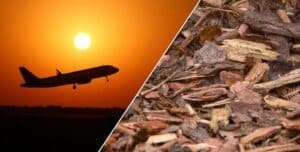 Split image: an airplane taking off against a sunset on the left; brown wood chips mulch on the right.