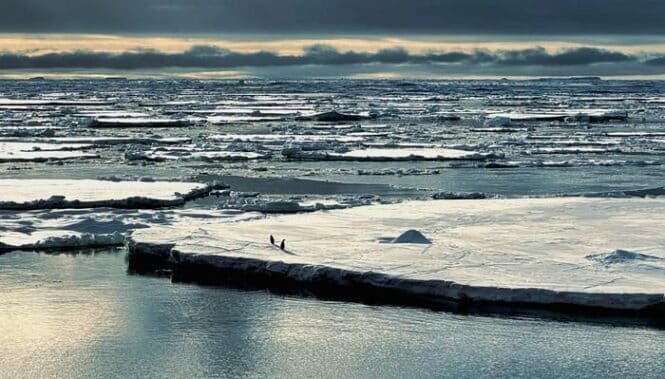 Frozen sea with large ice floes under a cloudy sky; two people walking on the ice edge.