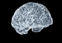 3D wireframe model of a human brain against a black background, showing intricate neural folds in light blue/white tones.