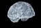 3D wireframe model of a human brain against a black background, showing intricate neural folds in light blue/white tones.