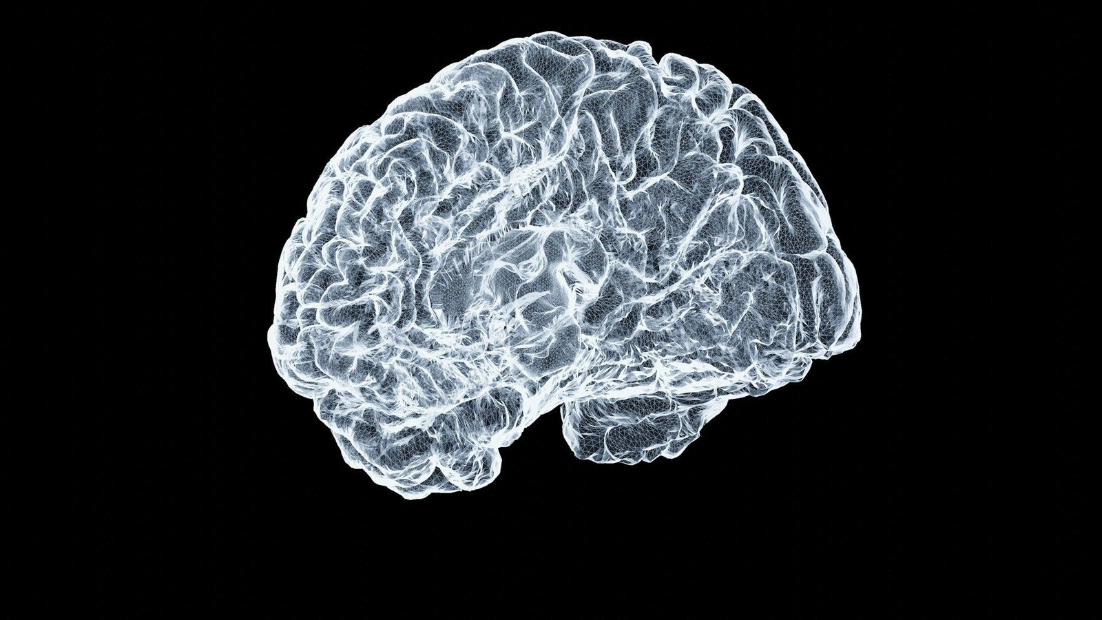 3D wireframe model of a human brain against a black background, showing intricate neural folds in light blue/white tones.