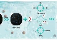 Schematic of black BC and N-BC-800 formed from urea, with electron transfer to a pyridine N–based system, producing DEET at the right; color legend shows C, N, O, H.