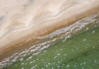 Aerial view of a sandy beach meeting clear green water with gentle waves and sunlight glints.