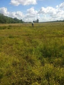 low-res_offset-grassland734806160250558964jpg | Pugnalom Person walking alone through a sunny meadow dotted with yellow flowers, with trees in the distance under a blue sky with clouds.