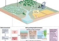 Infographic of soil remediation: shows fertilizer and irrigation controls, straw removal, an input–output graph, and risk assessment sections.