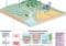 Infographic of soil remediation: shows fertilizer and irrigation controls, straw removal, an input–output graph, and risk assessment sections.