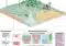 Infographic of soil remediation: shows fertilizer and irrigation controls, straw removal, an input–output graph, and risk assessment sections.