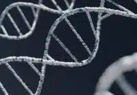 DNA double helix strands twisting against a dark background, highlighting the molecular structure