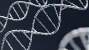 DNA double helix strands twisting against a dark background, highlighting the molecular structure