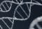 DNA double helix strands twisting against a dark background, highlighting the molecular structure