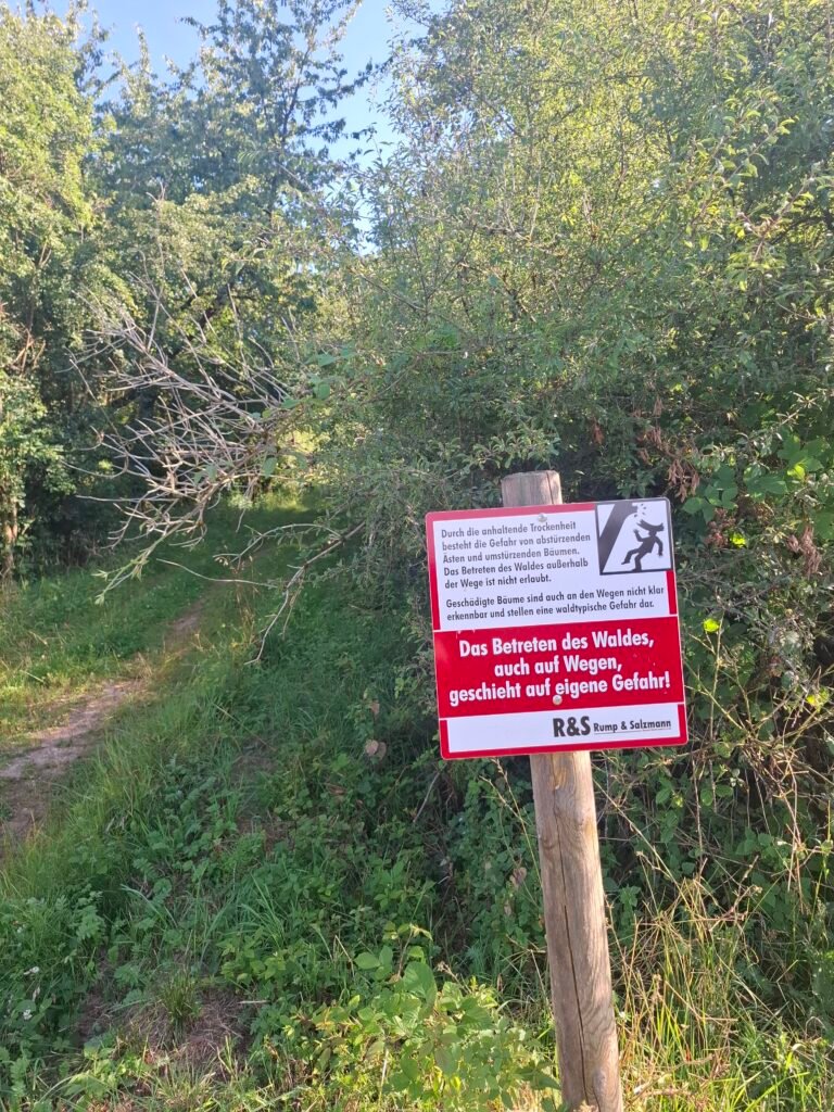 20260724_180730 | Pugnalom Zu Füßen des Blossenberges: R&S ersetzt Naturschutzschilder mit Warnschildern vor herabstürzenden Ästen. Credits: pugnalom