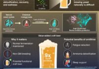 Infographic about boosting ornithine in craft beer: yeast isolation, mutagenesis to high-ornithine strains, a beer with 9x ornithine, and potential benefits like fatigue reduction and ammonia detoxification.