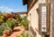 Thermometer mounted on a wooden post beside a sunlit garden with potted plants and colorful flowers; reads around 30°C.