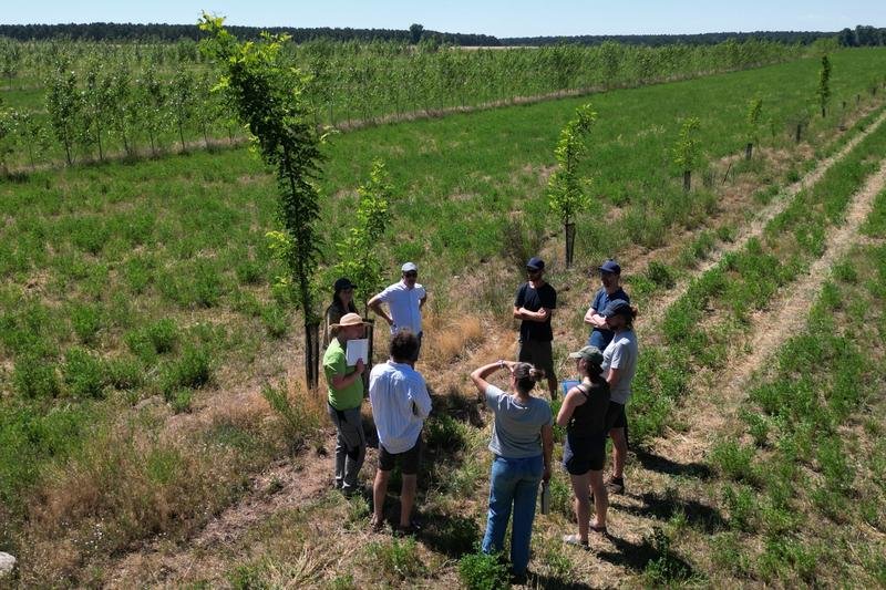 Auf dem Acker eines Partnerbetriebs in Sachsen-Anhalt haben Forschende der Hochschule Eberswalde einen Teil von insgesamt 650 Bäumen angepflanzt. Mit DBU-Förderung entwickeln sie Konzepte zum Miteinander von Wald und Landwirtschaft. | Copyright: Hochschule Eberswalde