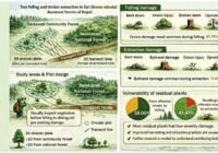 Infographic on tree felling and timber extraction in Nepal's forests, with study plots, transport routes, and national forest areas labeled left side.