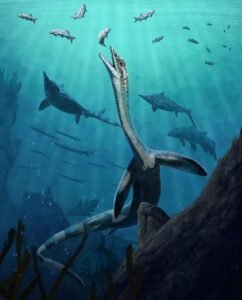 Underwater scene showing a long-snouted fish near a rocky ledge with multiple sharks and smaller fish in the background