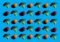 Repeating grid of broccoli florets and small orange and red tomatoes on bright blue background.