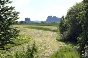 Open rural landscape with a dirt path through a field, flanked by trees on both sides and distant rocky cliffs on the horizon.