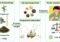 Infographic showing tea processing: original tea becomes processed tea with PCBs, then six tea types and geographical distribution, leading to exposure and low human risk signals.