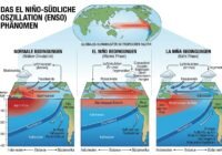Infographic about El Niño–Southern Oscillation: three panels compare Normal Conditions, El Niño, and La Niña in the Pacific, showing warm water pool, upwelling, thermocline depth, trade winds, and associated rainfall patterns.