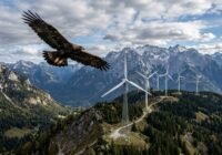 A large eagle soars over a mountain ridge with a row of wind turbines in the distance.