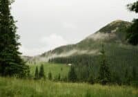 Mountain meadow with evergreen forest, low clouds, and a foggy hillside above a few distant buildings