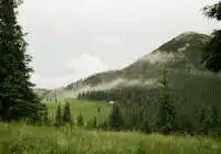 Mountain meadow with evergreen forest, low clouds, and a foggy hillside above a few distant buildings