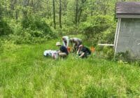 Group of people crouching in tall grass near a small shed, collecting samples or doing fieldwork with coolers and bags nearby.