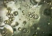 Bubbles of varying sizes suspended in a cloudy liquid with greenish-gray tones.