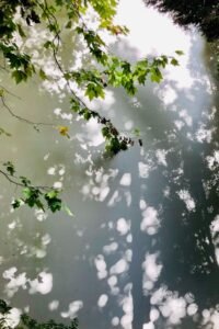 Overhead green leaves cast dappled light reflections on calm water surface below. branches frame the scene on the top and left.