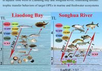 Two-panel infographic comparing organophosphate esters (OPEs) bioaccumulation in Liadong Bay and Songhua River, with TL axis, fish icons, and color-coded OPE labels (TPP, TBOP, TCPP, TEHP, TCEP, TDlCIPP, TBEP). Arrows indicate trophic transfer.