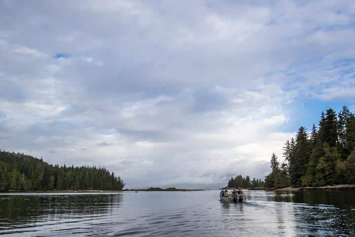 Bewaldete Einzugsgebiete in der Nähe von Bamfield an der Westküste von Vancouver Island, wo es im Winter fast jede Woche regnet. Einfache Einzugsgebiete wie diese sind weltweit selten, aber dieser Küstenabschnitt weist eine der größten Konzentrationen im gesamten Untersuchungsgebiet auf. (Universität von British Columbia)Kredit
Universität von British Columbia