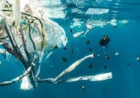 Underwater scene of plastic pollution: bags and strips tangled with ropes as small fish swim nearby.