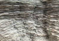 Wall of stacked papers forming a narrow, tunnel-like corridor of overlapping sheets.