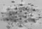 Desert-like surface with many small cone-shaped mounds and scattered rocks across a flat, dusty ground.