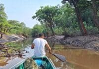 Man paddling a small boat down a muddy river surrounded by trees in a forest setting.