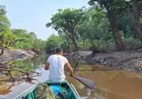 Man paddling a small boat down a muddy river surrounded by trees in a forest setting.