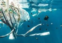 Underwater view of plastic bags and trash drifting among small tropical fish in clear blue water, highlighting ocean pollution.