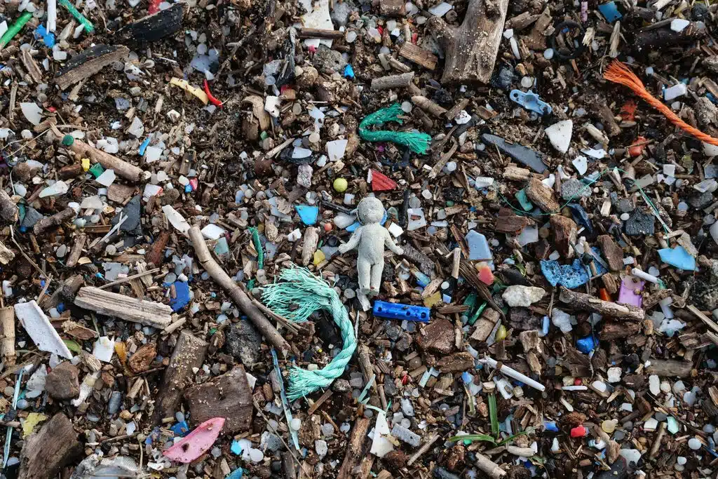Die Welt erstickt im Plastikmüll. Credits: Sébastien Vincon, pexels