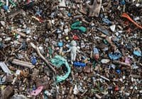 Die Welt erstickt im Plastikmüll. Credits: Sébastien Vincon, pexels