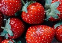Erdbeeren gehören zu den beliebtesten Früchten überhaupt. Credits: Lisa Fotlos, pexels