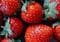 Erdbeeren gehören zu den beliebtesten Früchten überhaupt. Credits: Lisa Fotlos, pexels