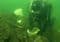 SCUBA diver in full gear kneels on a rocky seabed, placing a white bucket into a crevice as a white plastic bag floats nearby in greenish underwater murk.